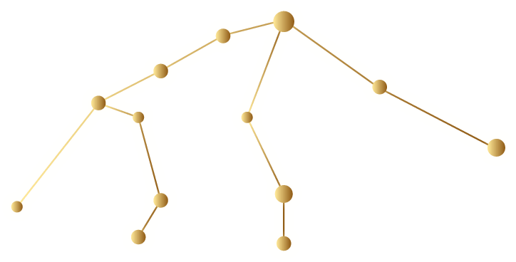 一周运势（0111-0117）瓦力游戏O